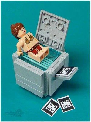 Wild secretary Lego â€¦