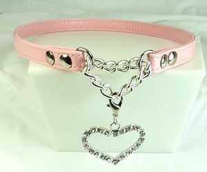 a cute collar for a cute pet