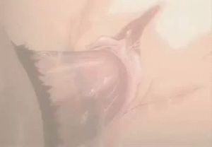 Awesome creampie geyser gif photo with fabulous thai