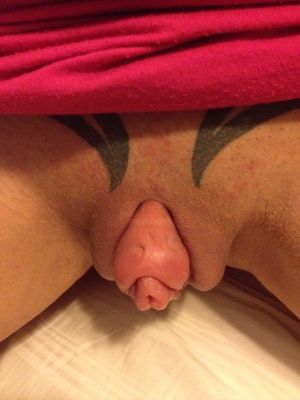 Awesome vagina picture
