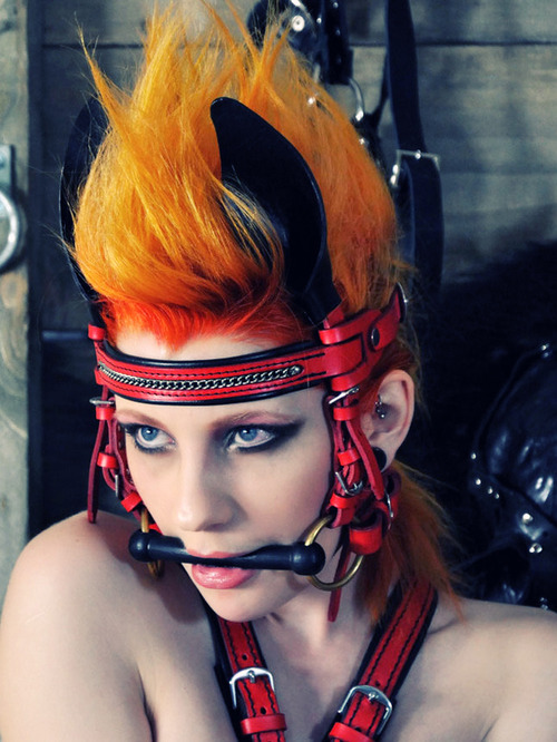 flame the pony