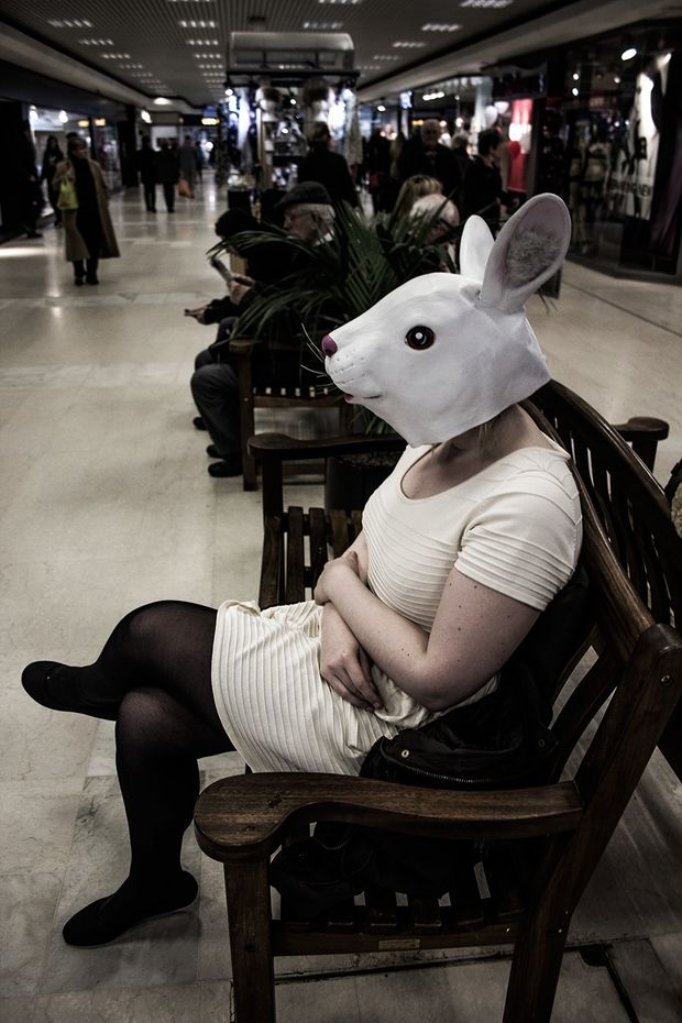 bunny waiting for...