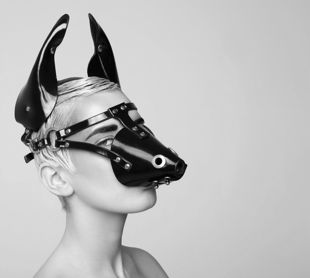 mouse, dog or pony?