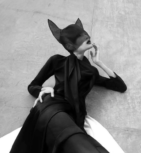 feline elegance