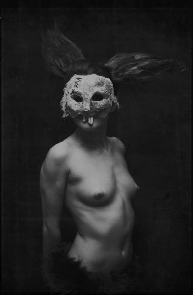 dark bunny