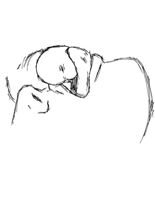 my drawings