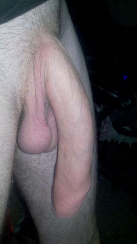 cock