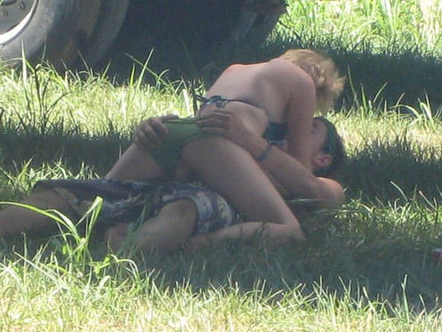 Ass in the Grass