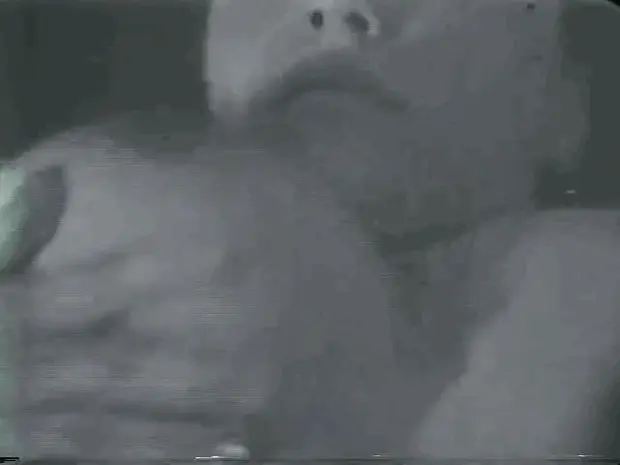 Michelle Angelo sucking her nipple from her Stag B&W movie. Makes me cum EVERY TIME!