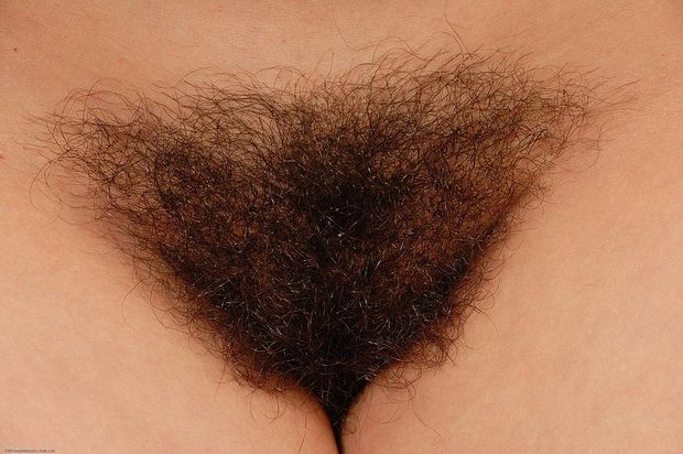 Bighairy !!!