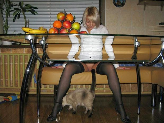See the pussy ... you can't miss it