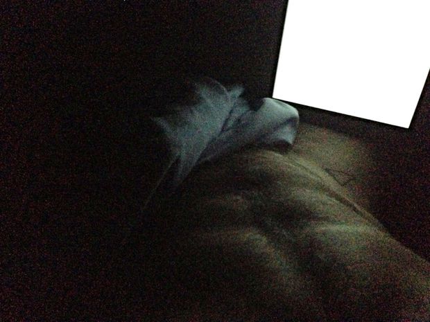 Bravo Delta! â™¥ (gay porn star)