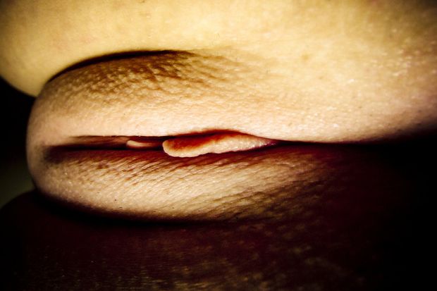 goose bump pussy