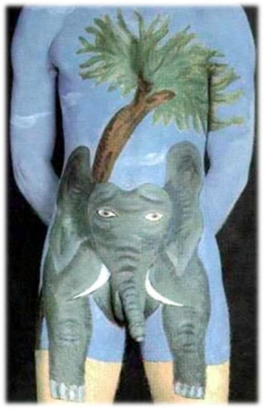 Elephant