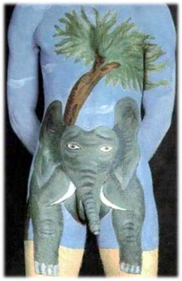 Elephant