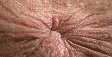 Move it! Got ass?