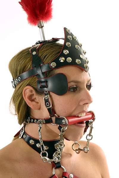 beatiful ponygirl
