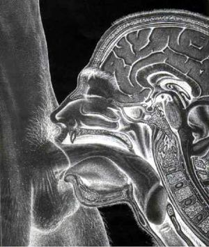 Amazing deepthroat photo