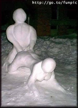 Snow sex 6