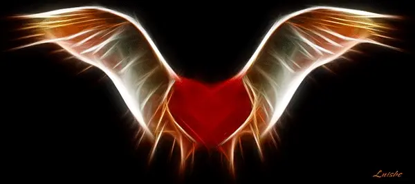 Wings of Love