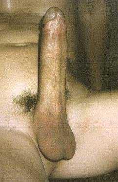 How I love big cocks.