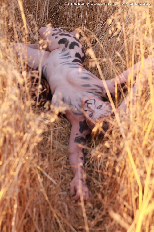 in the field