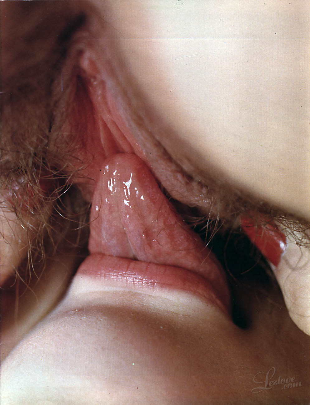 Real wet