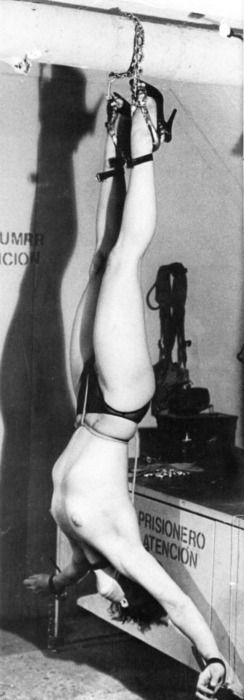 Classic Suspension Bondage