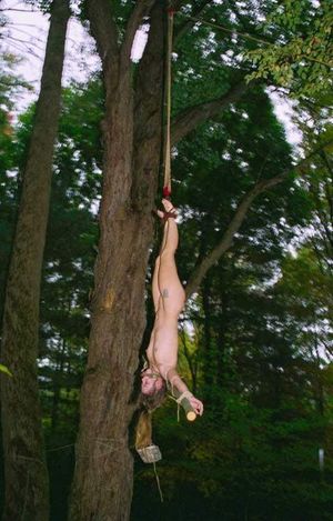 Inverted Suspension Outdoors