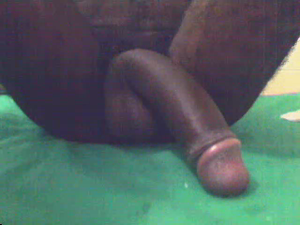 fat cock hanging around. waiting for action