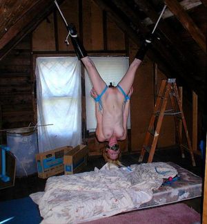 Classic Invert Suspension Bondage