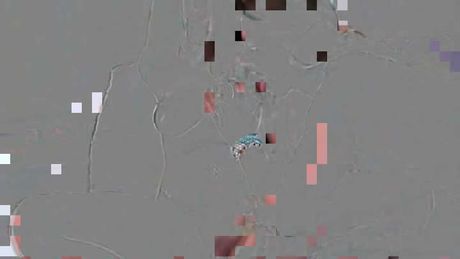 Amateur College Orgy With Horny Fucking Coeds