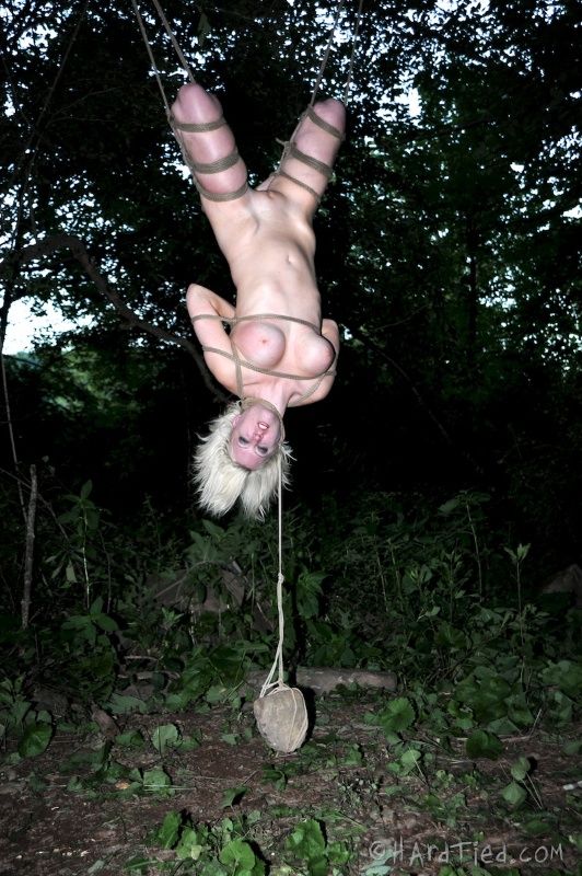 Outdoor Suspension