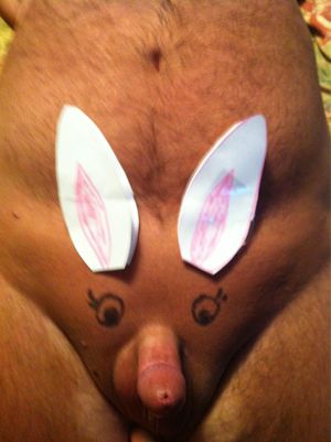 cockjudges: hop on top! Ha ha a brilliant photo, but only a...