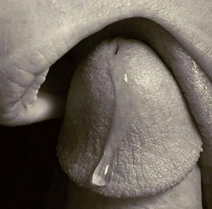 mouthwatering precum