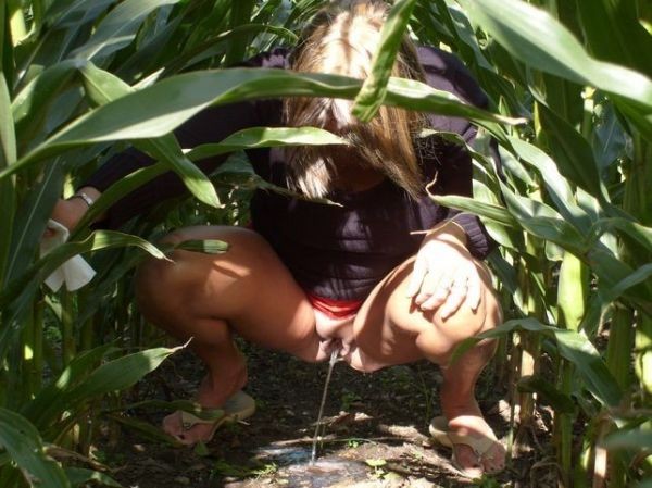 Blond peeing in a corn field
