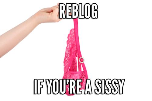 Repin if You're a Sissy!