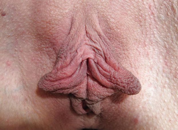 Shelly's Luscious Labia