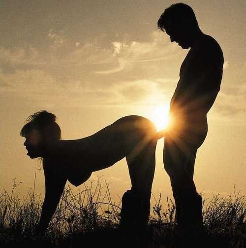 Sunset, doggy style.
