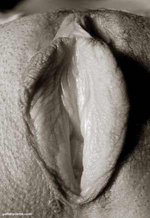 Didier Carre | ♥ Michelle7.com