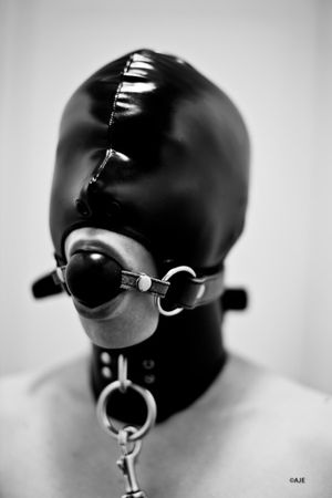 Hooded, gagged and collared