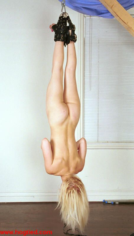 Invert Suspension Bondage