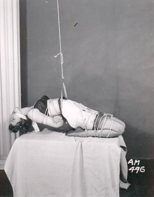 Classic Bondage