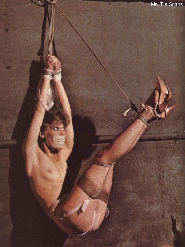 Classic Suspension Bondage