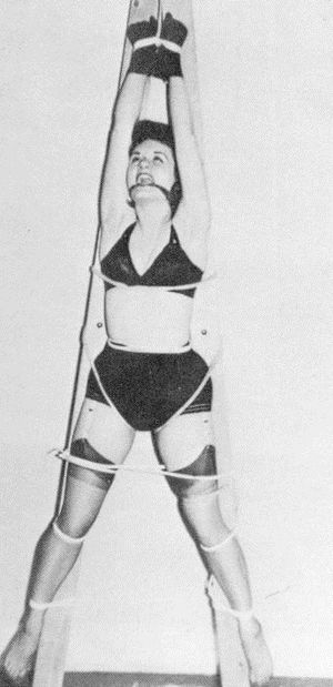 Classic Wrist Suspension