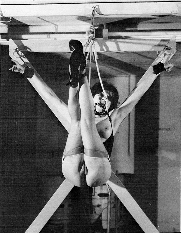 Classic Suspension Bondage