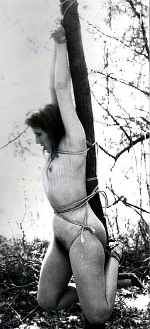 Classic Wrist Suspension