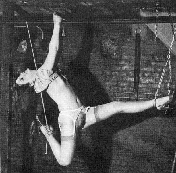 Classic Suspension Bondage