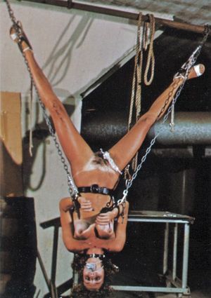 Classic Suspension Bondage