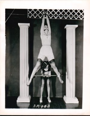 Classic Wrist Suspension